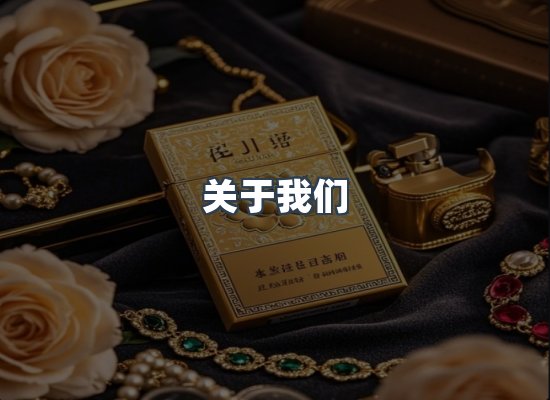 关于我们